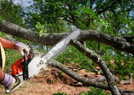 Leaf Removal in Wyoming, IL